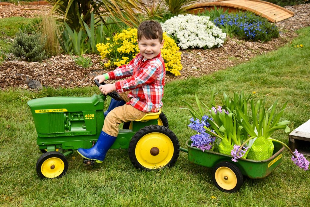 boy in large yard, gardening